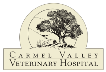 Carmel Valley Veterinary Hospital Logo