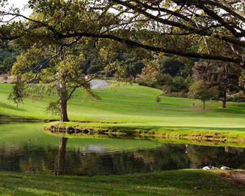 Carmel Valley is a golf paradise