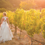 HR_wedding_vineyard_slider