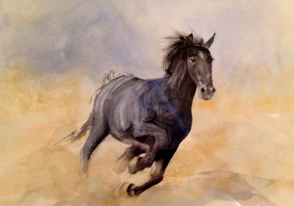 Horse_ANall_TN2015