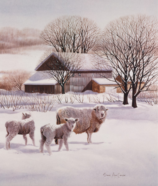 Sheep_In_The_Snow