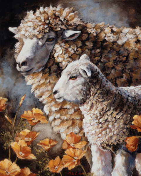 Sheep___Poppies_SCost_TN2015