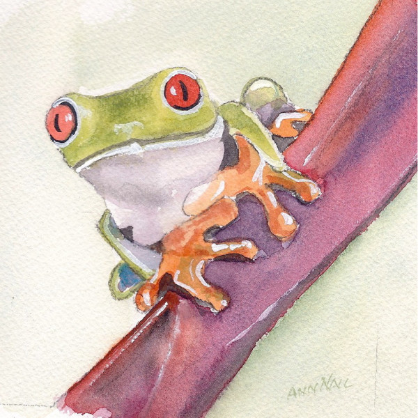 Tree_Frog_ANall_TN2015