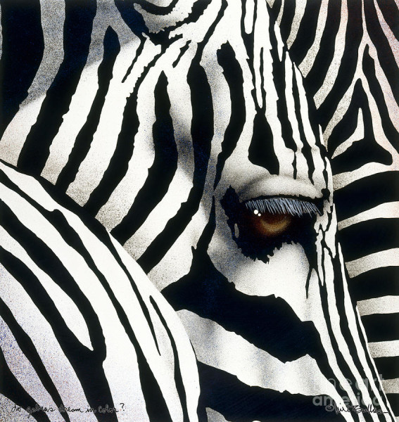 do-zebras-dream-in-color-by-will-bullas-will-bullas