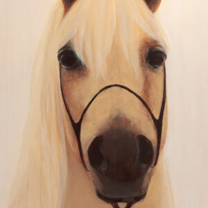 Palomino