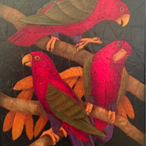 Parrots