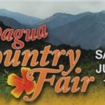 CachaguaCountyFair logo