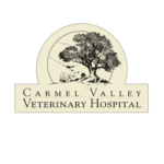 CV Vet_logo_lp