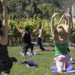 Yoga-in-the-Vines