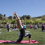 Carmel-Valley-Folktale-Winery-yoga-in-the-vines-2